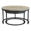 Moe's Home Collection Drey Round Nesting Coffee Tables Set Of 2