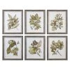 Accessories Uttermost Seedlings Framed Prints S/6 1 Accessories Uttermost Seedlings Framed Prints S/6