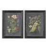 Uttermost Midnight Botanicals Wall Art S/2 Accessories 1 Uttermost Midnight Botanicals Wall Art S/2 Accessories