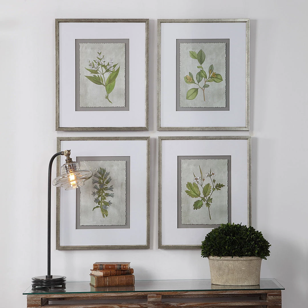 Uttermost Stem Study Framed Prints Set/4 8 Uttermost Stem Study Framed Prints Set/4