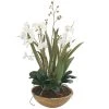 Uttermost Moth Orchid Planter Accessories 1 Uttermost Moth Orchid Planter Accessories