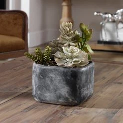 Uttermost Alverio Desert Garden Succulents Accessories