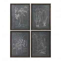 Accessories Uttermost Root Study Print Art S/4