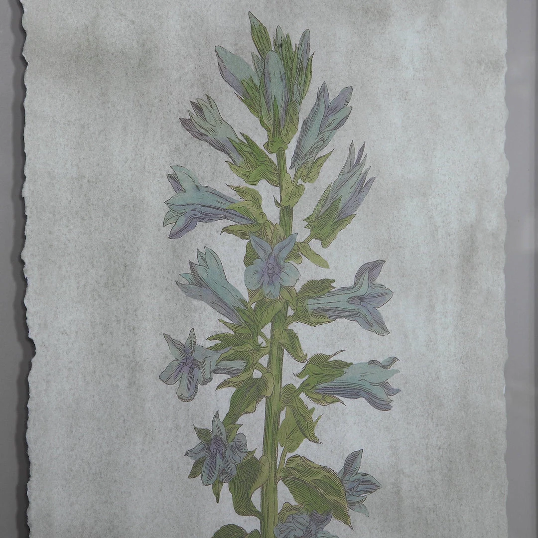 Uttermost Stem Study Framed Prints Set/4 5 Uttermost Stem Study Framed Prints Set/4