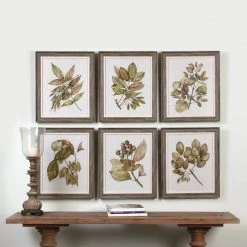 Accessories Uttermost Seedlings Framed Prints S/6