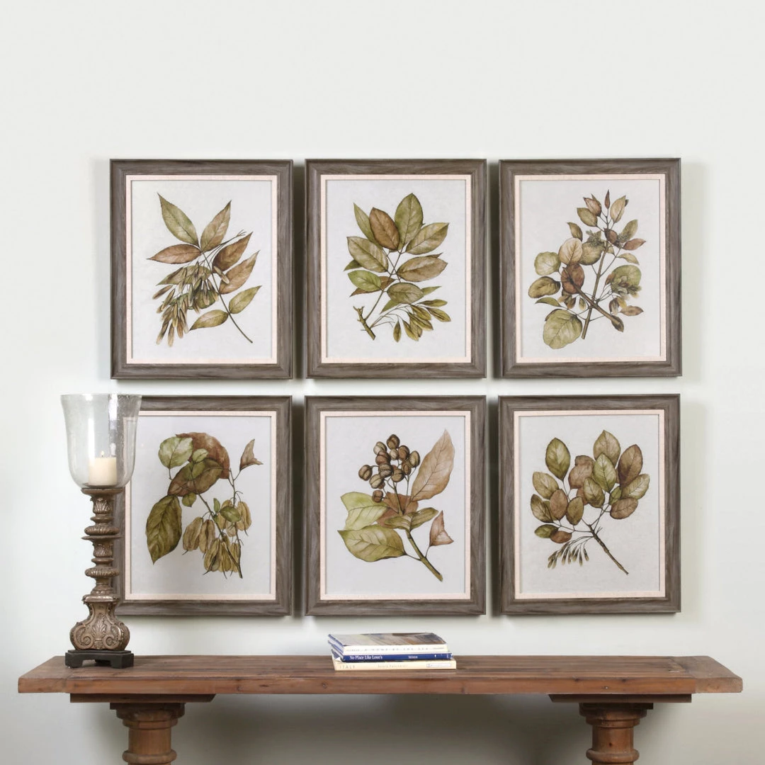 Accessories Uttermost Seedlings Framed Prints S/6 4 Accessories Uttermost Seedlings Framed Prints S/6