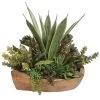 Accessories Uttermost Salar Succulents In Teak Bowl