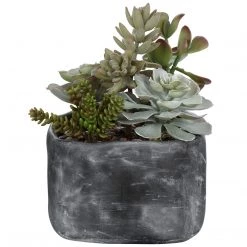 Uttermost Alverio Desert Garden Succulents Accessories