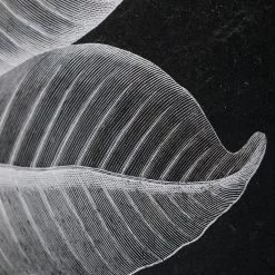 Uttermost Foliage Framed Prints, S/6 Accessories 15 Uttermost Foliage Framed Prints, S/6 Accessories