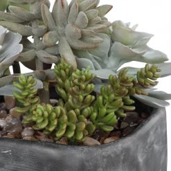 Uttermost Alverio Desert Garden Succulents Accessories